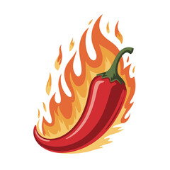 Red chili pepper on fire illustration with flames isolated on white background