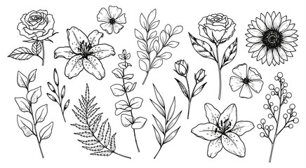 Delicate hand drawn botanical sketch collection floral leaves blooms artistry nature inspired design elements