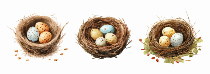 Watercolor set of a nest with spotted eggs. A bird's nest made of brushwood with spotted eggs in it. Spring elements of birdhouses. Cute elements for Easter. Vector illustration.