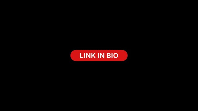Lin in bio Button Animation