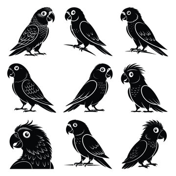 Set of vector black cheeky parakeet silhouette icon. Isolated black animal shape design element.