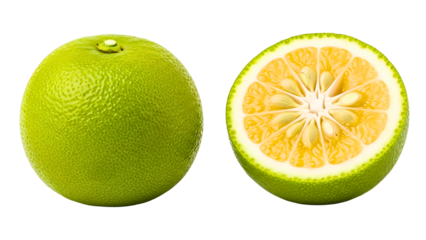 Fresh green citrus fruit: Sweet lime reveals juicy interior vibrancy