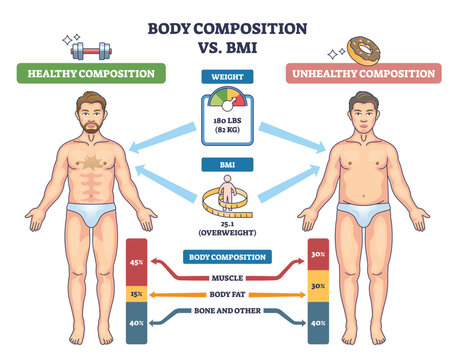Body composition vs BMI comparison shows how muscle and fat affect health at the same weight, healthy male figure, unhealthy male figure, and BMI scale highlight differences. Diagram