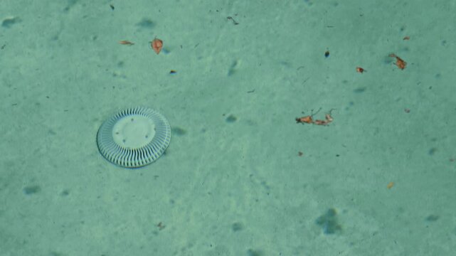 Details of pool bottom with drain and floating debris