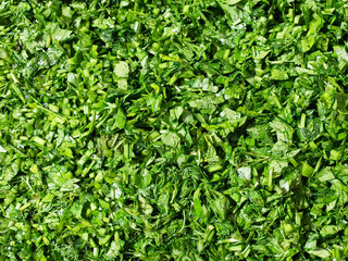 Chopped Fresh Parsley and Dill Culinary Herbs Texture Background