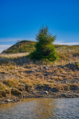 Autumn mountain landscape. Green spruce trees near a small pond on a sunny autumn day.