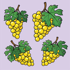 bunch of grapes on a branch