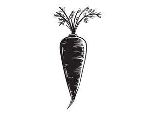 Organic carrot vector graphic ideal for modern branding