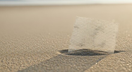 Plastic mesh on sandy beach during daylight representing ecology  