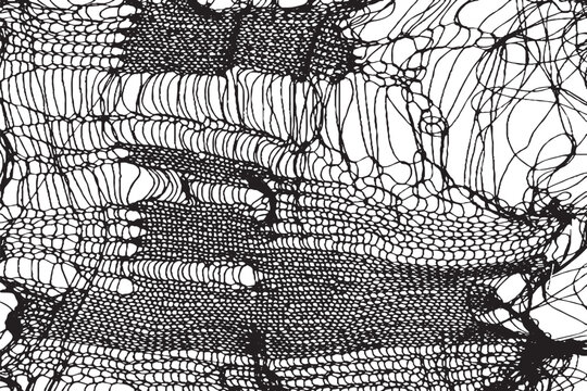 Intricate Black and White Ripped Mesh or Distressed Fiber Texture