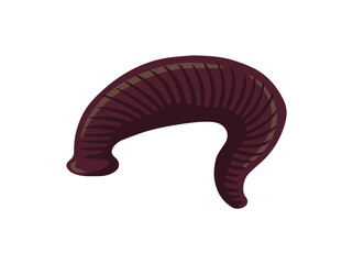 Hand Drawn Leech Animal Illustration
