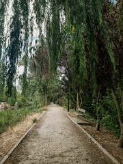 View of a dirt path, grass, rocks, and small stones. A bench beside the path. Can be used for concepts and backgrounds. Vertical photo.