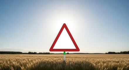 Warning Sign Amidst Golden Wheat Field Under A Bright Sunny Sky Display