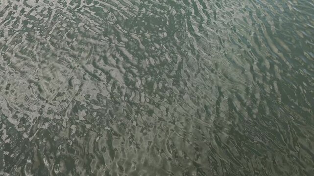 Wind blows waves in the reservoir
