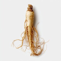 Single ginseng root, light beige, on white background