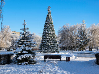 New Year tree in the city park