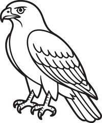 vector illustration of a bird hawk line art