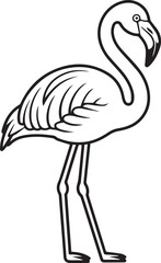 vector illustration of a flamingo