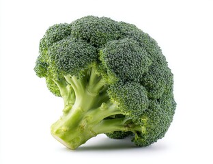 Fresh broccoli head, vibrant green