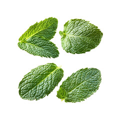 Fresh mint leaves isolated on Transparent Background