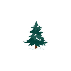 christmas fir tree decoration top view isolated on white or transparent png