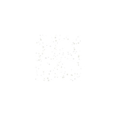 christmas fir tree decoration top view isolated on white or transparent png