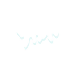 christmas fir tree decoration top view isolated on white or transparent png
