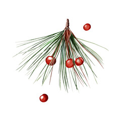 christmas fir tree decoration top view isolated on white or transparent png