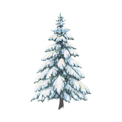 christmas fir tree decoration top view isolated on white or transparent png