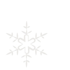 christmas fir tree decoration top view isolated on white or transparent png