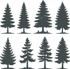 Collection of eight distinct dark green silhouette illustrations of various evergreen conifer trees, such as pine, spruce, and fir, standing upright
