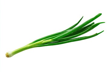 Fresh green scallions, vibrant and long