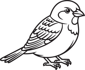 Fototapeta premium sparrow bird line art coloring page