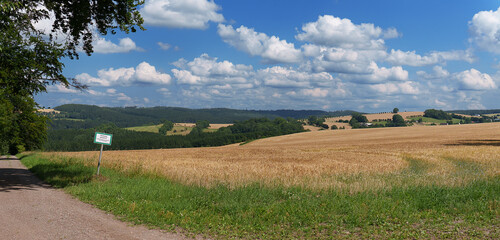 Reifes goldgelbes Getreide auf einem Feld in der Nähe von Frauenstein (Erzgebirge); der Himmel...
