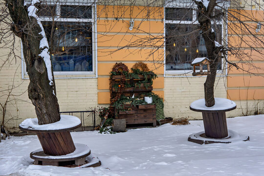 A couple of trees that are sitting in the snow