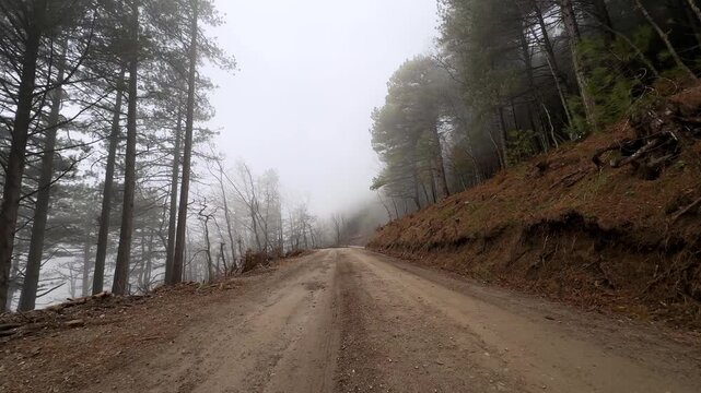 Foggy Forest Road Kazdagi Mountains (Mount Ida) Turkey. Misty Scene.
