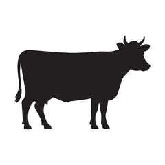 black and white cow