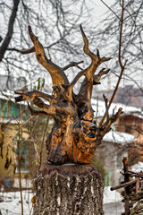 A tree stump with a face carved into it in the snow