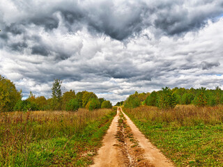 Fototapeta premium Explore the scenic dirt path through a lush green landscape under dramatic clouds