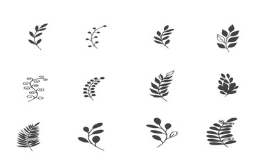 Hand drawn botanical leaf and foliage doodle icon set on white background.