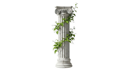 A classical stone column with fluted shaft and ornate capital, entwined with green vines and small white flowers, isolated on a white background.