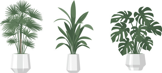 Indoor potted houseplants collection, tropical palm plant, dracaena leaves, monstera foliage, modern decorative greenery decor, cad drawing flat vector illustration © meri999