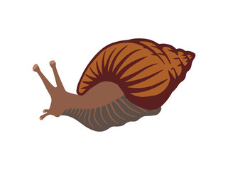 Obraz premium Garden Snail Clip Art Illustration 