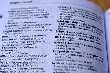 Obraz premium Definition Of English Dictionary Close Up Of Page With Word - briny