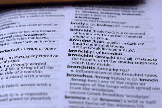 Definition Of English Dictionary Close Up Of Page With Word - bromine