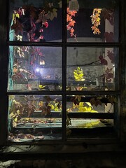 Autumn Leaves Framed by Old Window, Atmospheric Night Window Scene