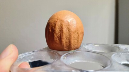 Huevo corrugado - corrugated egg 3