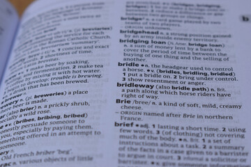 Definition Of English Dictionary Close Up Of Page With Word - bridle