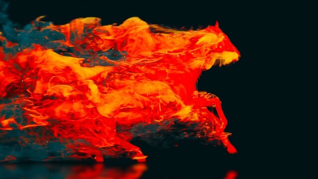 Flaming Horse Logo Reveal