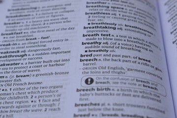 Definition Of English Dictionary Close Up Of Page With Word - bred